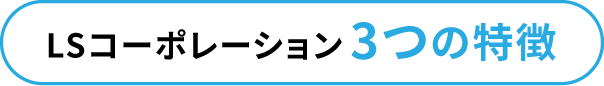 LSコーポレーション3つの特徴